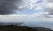 Tocht Stappen Collioure - Tour de Madaloc - Photo 2