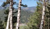 Randonnée V.T.T. Fréland - Fréland - Col du Wettstein - Photo 1