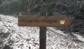Trail Walking Guillestre - Risoul: Le Villaret   Peyre Haute - Photo 7