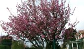 Tour Wandern Saint-Pierre-des-Fleurs - 20240409-StPierre des Fleurs Cool - Photo 15