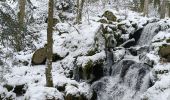 Percorso Racchette da neve Belmont - cascade de la serva - Photo 2