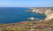 Trail Walking Crozon - Cap de la Chevre  - Photo 4