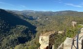 Tour Wandern Montauroux - Montauroux : Siagne 2 fait - Photo 12