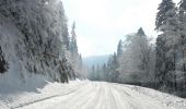 Randonnée Raquettes à neige Saint-Agnan-en-Vercors - Beure - Écondus - Photo 15