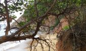 Tocht Stappen La Trinité - boucle pointe rouge - anse spourtoune - Photo 8