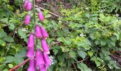 Trail Walking Rendeux - Marcouray - Photo 12