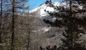 Trail Walking Les Orres - Bois Méan - Photo 3