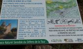 Randonnée Marche Puget-Ville - Puget Ville tour du faucon trou du boeuf les crêtes - Photo 6