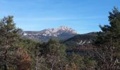 Excursión Senderismo Trigance - Trigance, Pont de Sautet, Clue de Carejuan - Photo 10