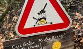 Trail Walking Ottignies-Louvain-la-Neuve - #221229 - Limauges > Céroux-Mousty - Photo 15