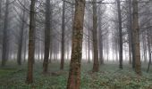 Tour Wandern Vauchassis - Reconnaissance la réserve - Photo 4