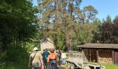 Trail Walking Sainte-Ode - Lavacherie - Photo 10