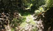 Trail Walking Pontgibaud - Pontgibaud. Peschadoire  - Photo 1
