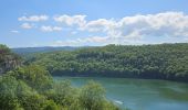 Tocht Stappen La Tour-du-Meix - A la découverte du lac de Vouglans 🥾 - Photo 10