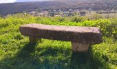 Tour Wandern Lussan - de Lussan aux Concluses - Photo 4