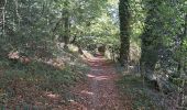 Trail Walking Rochefort-en-Terre - Rochefort en terre - Photo 6