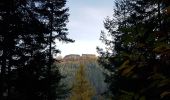 Trail Walking Ottrott - Ottrott - châteaux d'Ottrott - Mont St Odile par le sentier des Merveilles - Photo 3