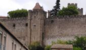 Trail Walking Carcassonne - le long de l Aude, carcassonne - Photo 17