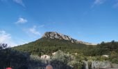 Trail Walking La Farlède - sommet du Coudon en partant de La Farlède - Photo 8