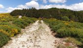 Tocht Mountainbike Vialas - Mas de barque tracé 2 - Photo 16