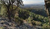 Trail Walking Fréjus - vallonde barban  - Photo 1