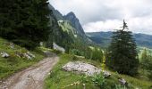 Tocht Te voet Schwyz - Mythenweg - fixme - Photo 10