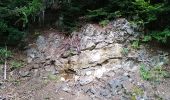 Tocht Stappen Bourbach-le-Haut - Le sentier géologique du Rossberg - Photo 18