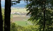 Trail Walking Héricourt - Héricourt - fort Mont Vaudois - poudriére puis batterie d'Urcerey - Echenans - Photo 13