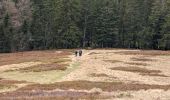 Tocht Stappen La Bresse - 2023-04-15 Marche Abri Collet de Etang vers Abri Lac de Blanchemer - Photo 4