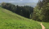 Trail Walking Stavelot - Stavelot et les crêtes de l’Amblève - Photo 6