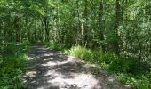 Tour Wandern Veere - Veere 18,2 km  - Photo 14