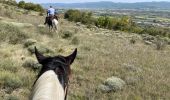 Trail Horseback riding Urriés - Bardenas jour 2 - Photo 6
