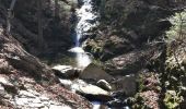 Trail Walking Aywaille - 220307 Ninglinspo - Photo 6