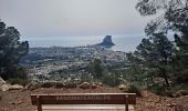 Randonnée Marche Calp - Sierra de Olta - Photo 3