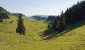 Tocht Stappen Les Rousses - Mont Sàla (boucle) - Photo 7