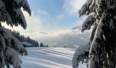Percorso Racchette da neve Saint-Jean-de-Sixt - Le panorama du Danay (14) - Photo 11