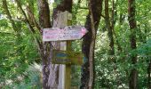 Trail Walking Saint-Branchs - Saint-Branchs - Circuit 2 avec variante - 23.3km 130m 5h00 - 2020 05 25 - Photo 3
