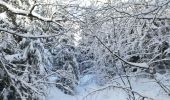 Tocht Sneeuwschoenen Sevrier - GR SEMNOZ croisement Quintal Benevent - Photo 2