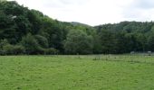 Trail On foot Heimbach - Heimbacher Burgen - Photo 10