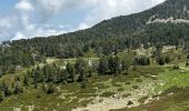 Percorso  Taurinya - Canigou par la « cheminée » - Photo 1