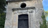 Randonnée Marche Oppède - PF-Oppède-le-Vieux - Sentier vigneron - Forteresse et Collégiale - Photo 6