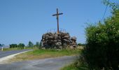 Tocht Stappen Courcelles-de-Touraine - Courcelles-de-Touraine - 15.6km 110m 4h05 (45mn) - 2023 06 07 - Photo 8