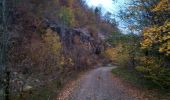 Excursión Senderismo Braillans - Braillans forêt de Chailluz - Photo 1