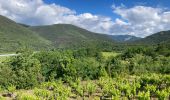 Randonnée Marche Villemagne-l'Argentière - Ppp - Photo 2