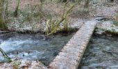 Trail Walking Bouillon - Rochehaut 110124 - Photo 16