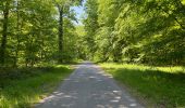 Excursión Senderismo Compiègne - en Forêt de Compiègne_50_les Routes des Beaux Monts, de Morpigny et des Nymphes - Photo 16