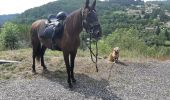 Trail Horseback riding Pont-Salomon - ecurie de l'aurore - Photo 3