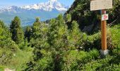 Randonnée Marche La Plagne-Tarentaise - Plagne Soleil, Plagne Centre par le Haut du télésiège du Colorado  - Photo 1