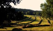 Tocht Te voet Sonneberg - Rund um den Schönberg - Photo 2