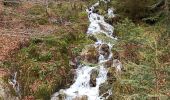 Trail Walking Bussang - camping du champé cascade de l'ours - Photo 1